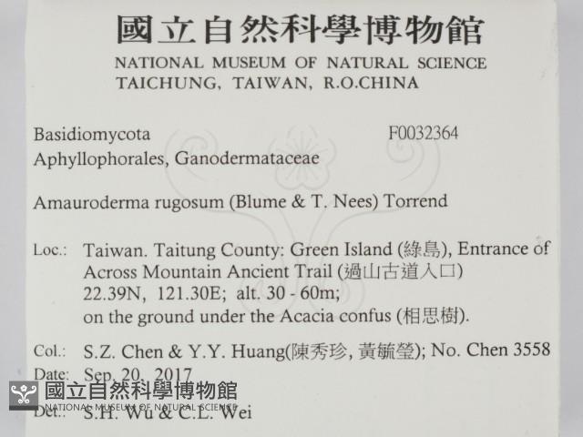 登錄號:F0032364藏品圖，第2張
