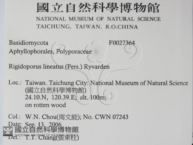 登錄號:F0027364藏品圖，第2張