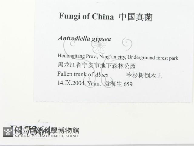 登錄號:F0017364藏品圖，第2張