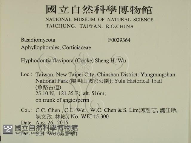 登錄號:F0029364藏品圖，第2張