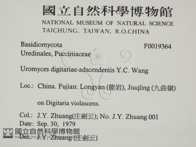 登錄號:F0019364藏品圖，第2張