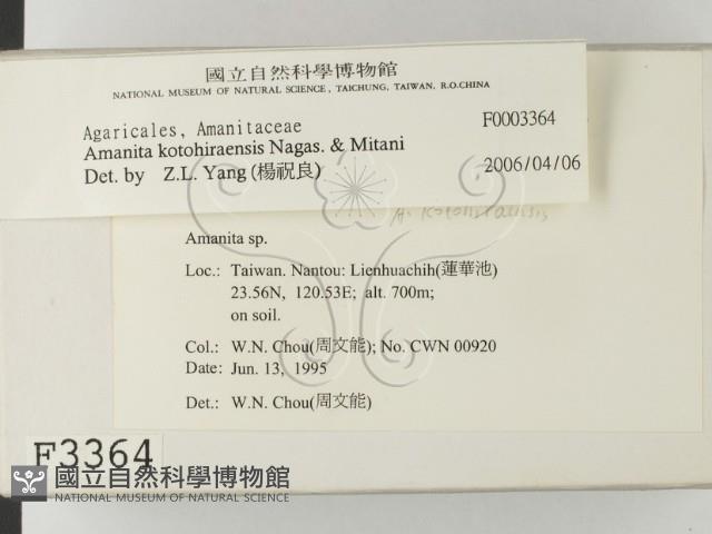 登錄號:F0003364藏品圖，第2張