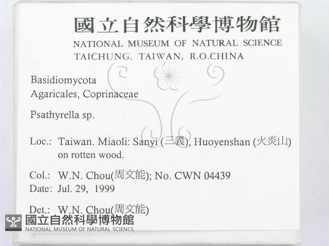 登錄號:F0013364藏品圖，第2張