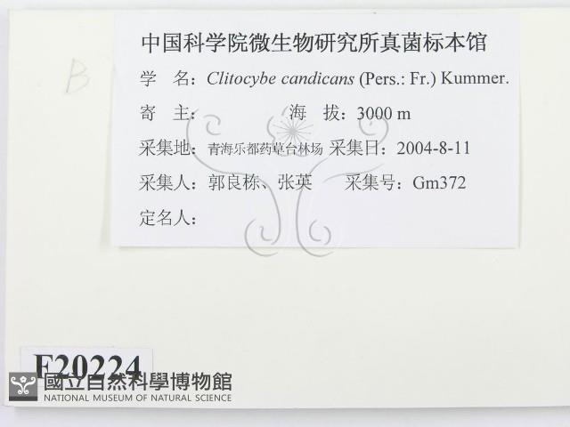 登錄號:F0020224藏品圖，第2張
