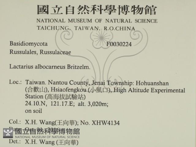 登錄號:F0030224藏品圖，第2張