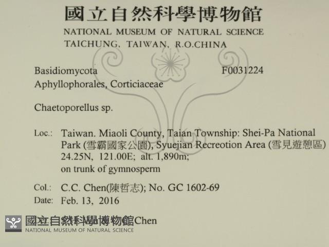 登錄號:F0031224藏品圖，第2張