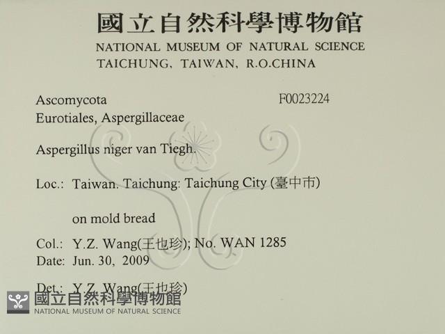 登錄號:F0023224藏品圖，第2張