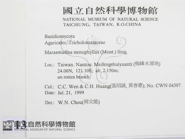 登錄號:F0013224藏品圖，第2張