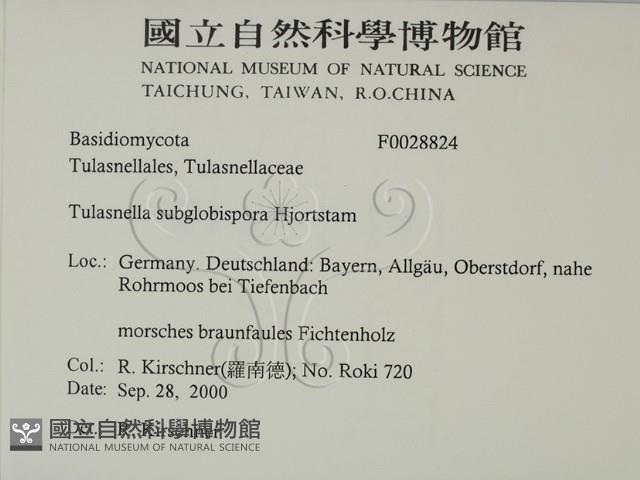 登錄號:F0028824藏品圖，第2張