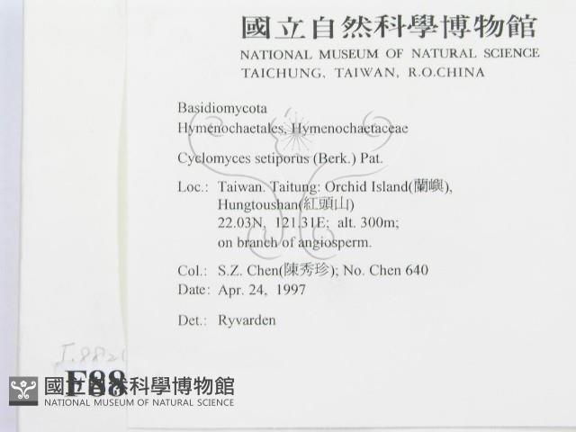 登錄號:F0008824藏品圖，第2張