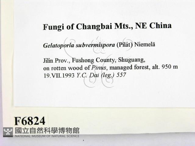 登錄號:F0006824藏品圖，第2張