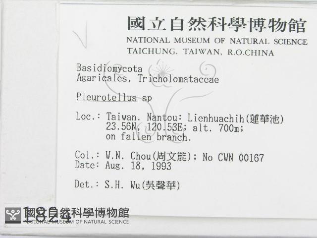 登錄號:F0001824藏品圖，第2張