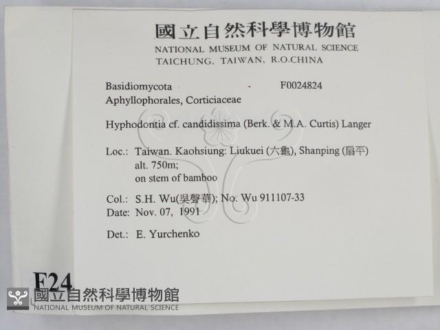 登錄號:F0024824藏品圖，第2張
