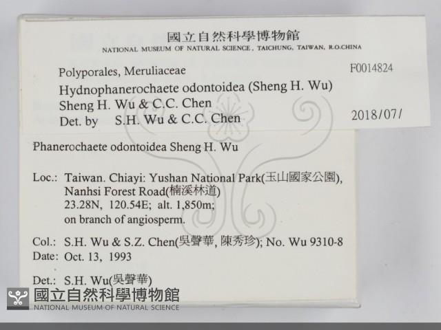 登錄號:F0014824藏品圖，第2張