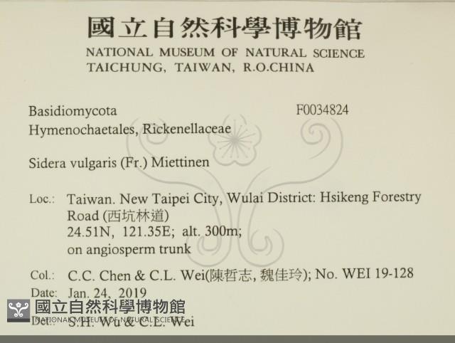 登錄號:F0034824藏品圖，第2張