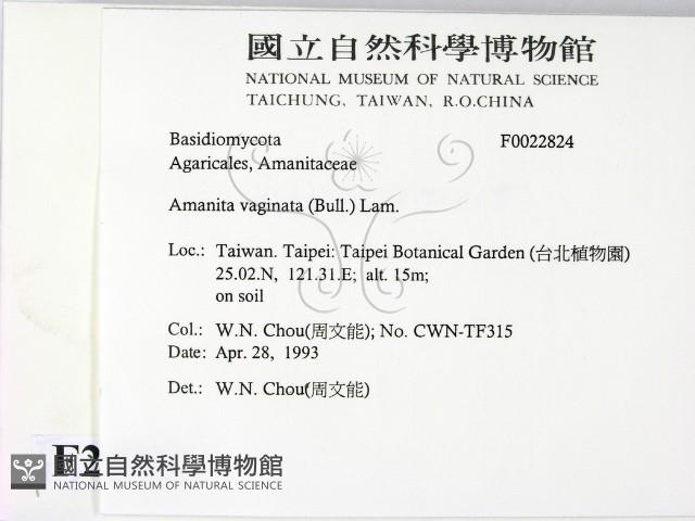登錄號:F0022824藏品圖，第2張