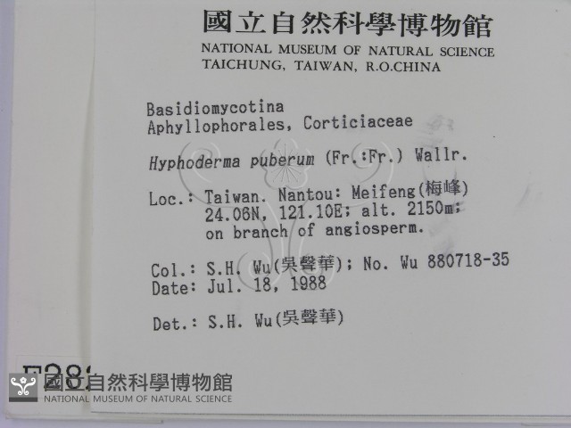 登錄號:F0002824藏品圖，第2張