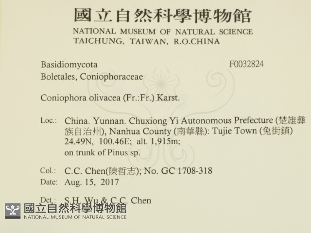 登錄號:F0032824藏品圖，第2張