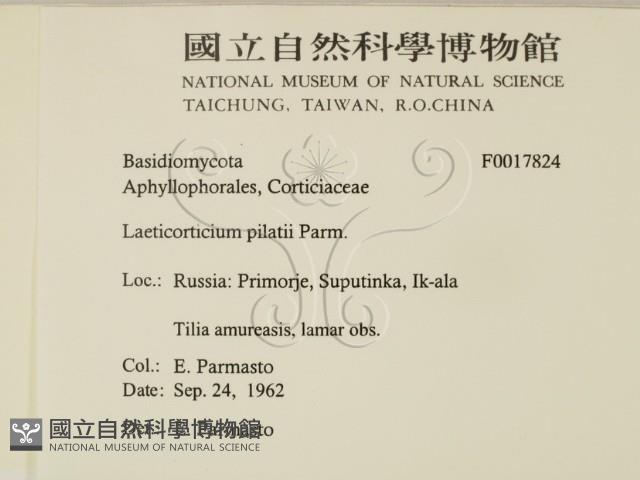 登錄號:F0017824藏品圖，第2張