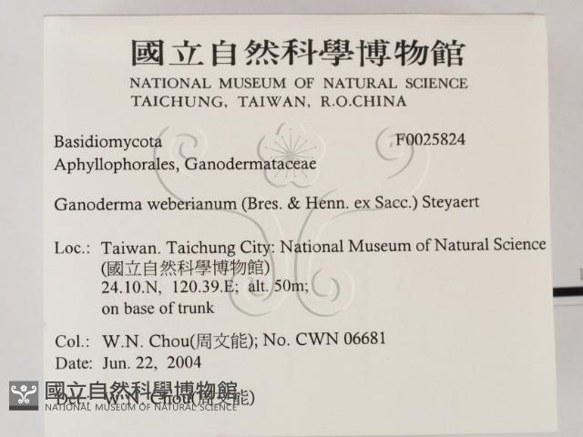 登錄號:F0025824藏品圖，第2張