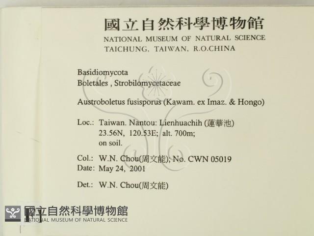 登錄號:F0015824藏品圖，第2張