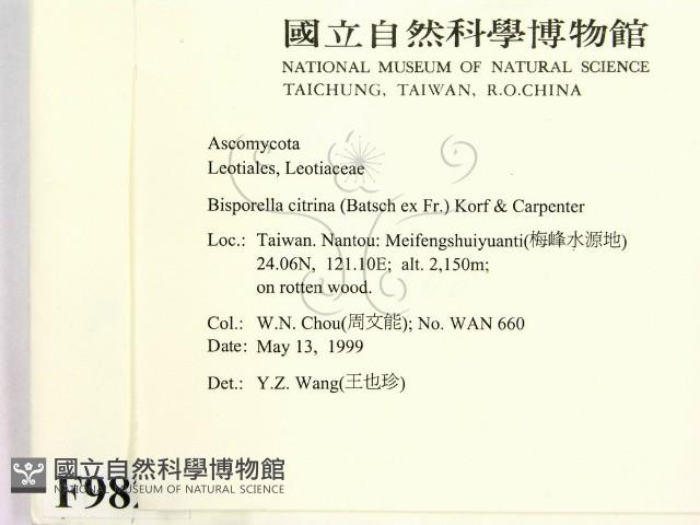 登錄號:F0009824藏品圖，第2張