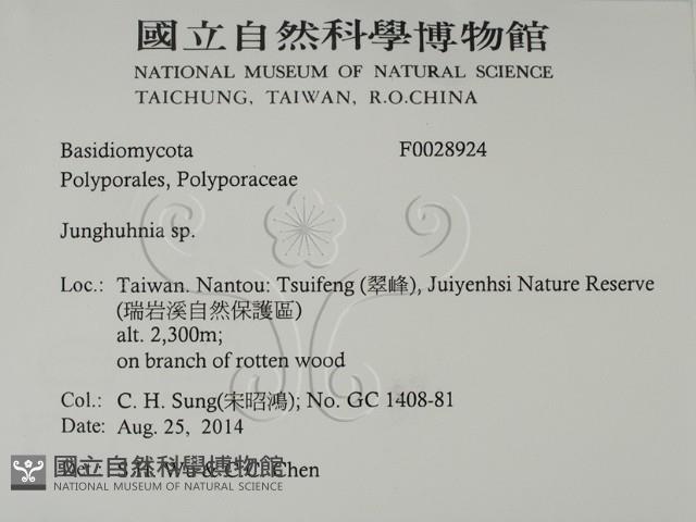 容氏菌屬藏品圖，第2張