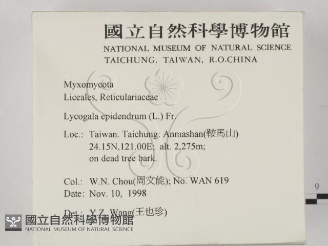 登錄號:F0008924藏品圖，第2張