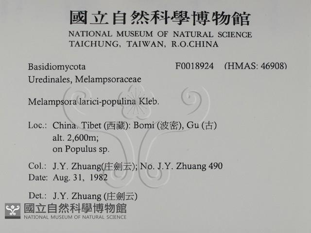 登錄號:F0018924藏品圖，第2張