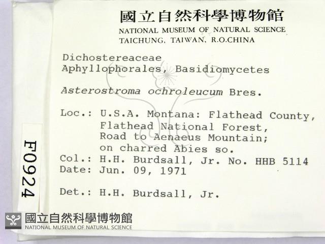 登錄號:F0000924藏品圖，第2張