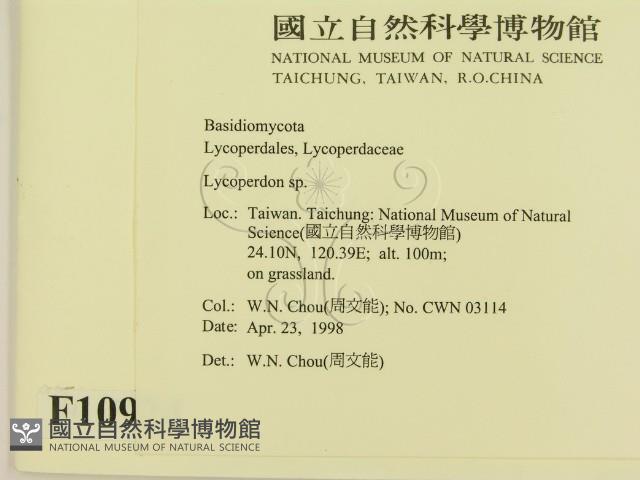 登錄號:F0010924藏品圖，第2張
