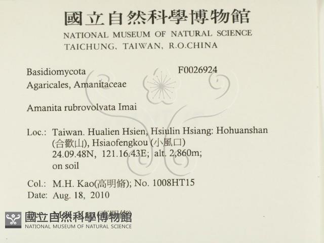 登錄號:F0026924藏品圖，第2張