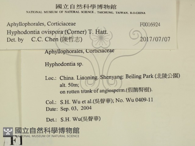 登錄號:F0016924藏品圖，第2張