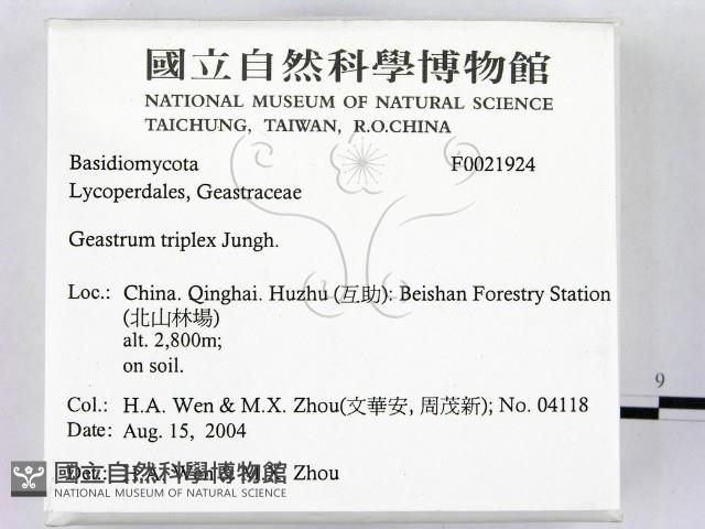 登錄號:F0021924藏品圖，第2張