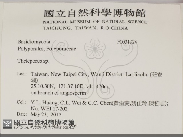 登錄號:F0031924藏品圖，第2張