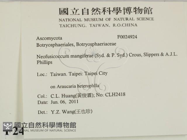 登錄號:F0024924藏品圖，第2張