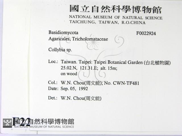 登錄號:F0022924藏品圖，第2張