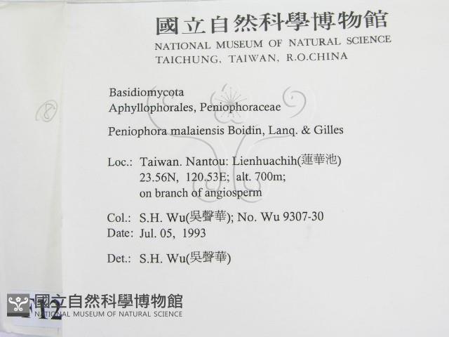登錄號:F0012924藏品圖，第2張