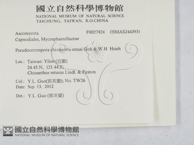 登錄號:F0027924藏品圖，第2張