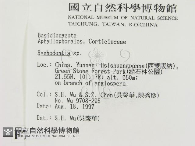 登錄號:F0007924藏品圖，第2張