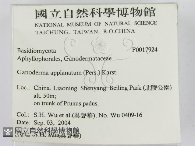 登錄號:F0017924藏品圖，第2張