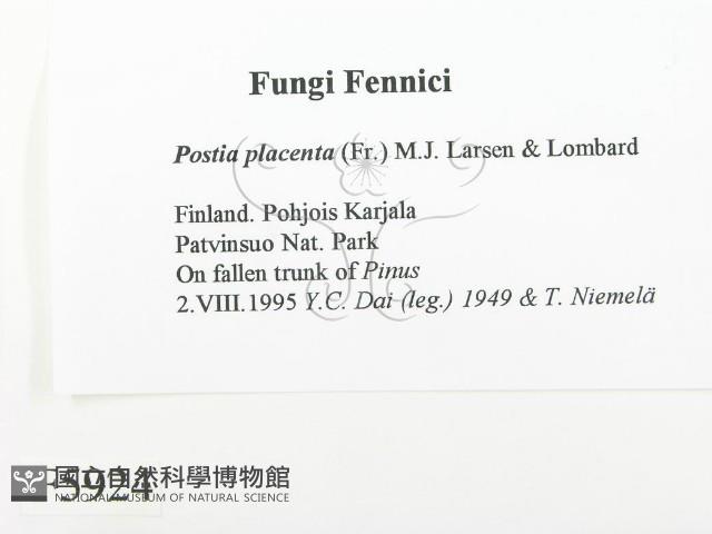 登錄號:F0005924藏品圖，第2張