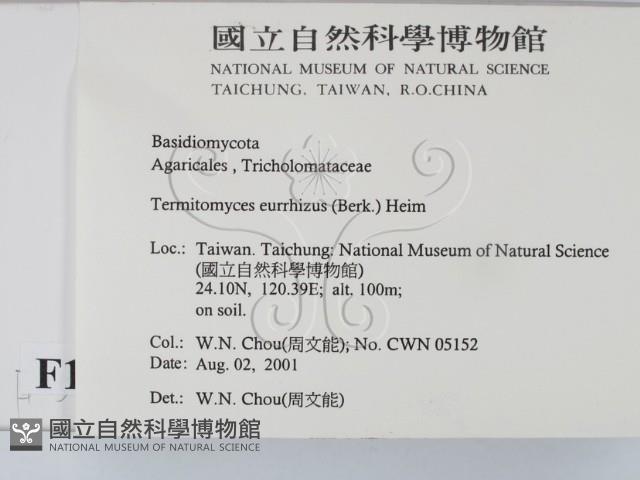 登錄號:F0015924藏品圖，第2張