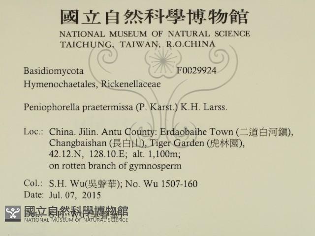 登錄號:F0029924藏品圖，第2張