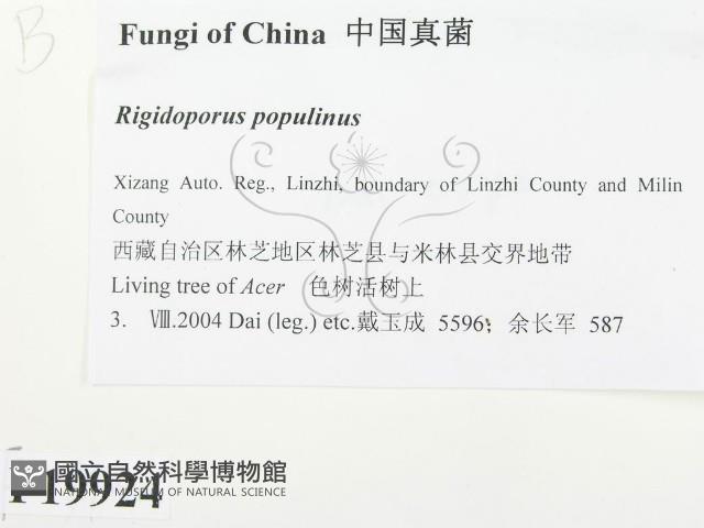 登錄號:F0019924藏品圖，第2張