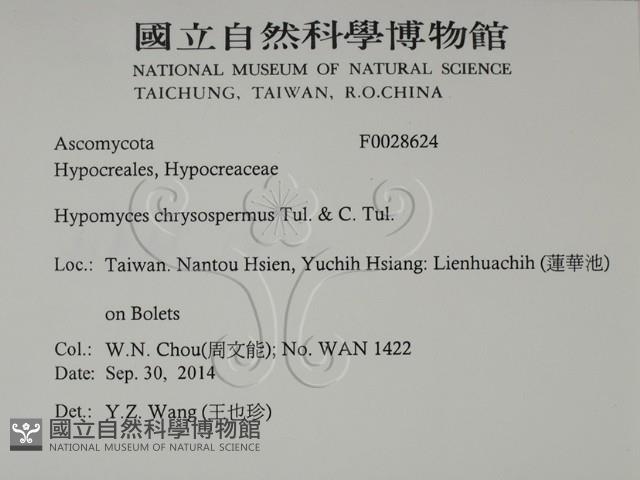 登錄號:F0028624藏品圖，第2張