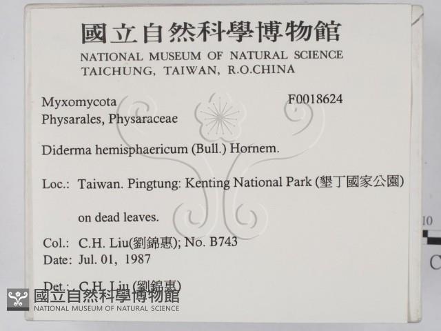登錄號:F0018624藏品圖，第2張