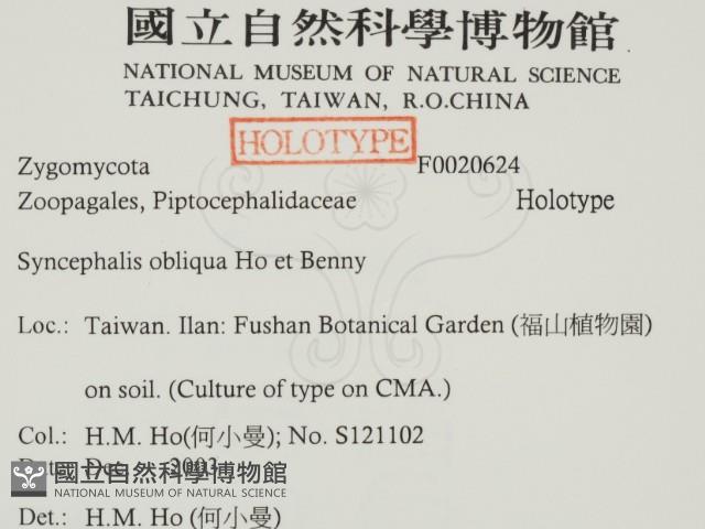 登錄號:F0020624藏品圖，第2張