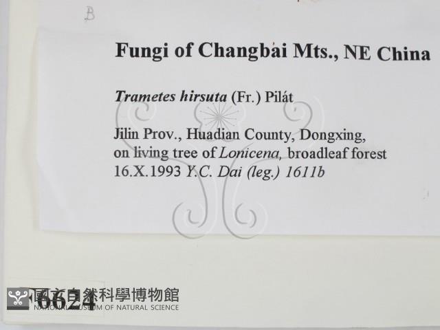 登錄號:F0006624藏品圖，第2張
