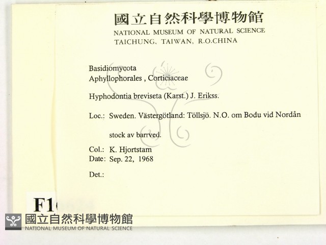 登錄號:F0016624藏品圖，第2張